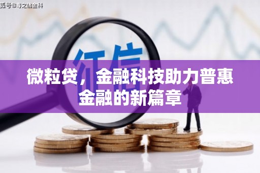 涞水微粒贷，金融科技助力普惠金融的新篇章