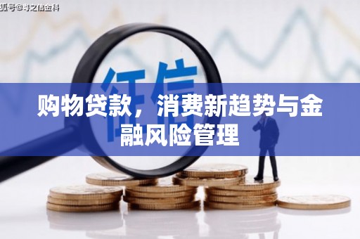 涞水购物贷款，消费新趋势与金融风险管理