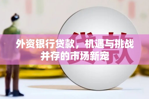 涞水外资银行贷款，机遇与挑战并存的市场新宠