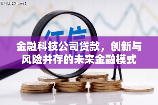 涞水金融科技公司贷款，创新与风险并存的未来金融模式