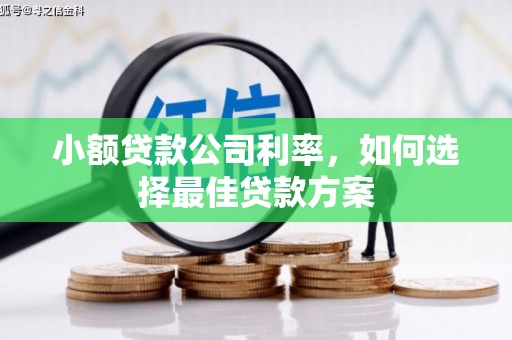 涞水小额贷款公司利率，如何选择最佳贷款方案