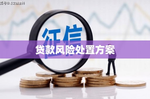 涞水贷款风险处置方案