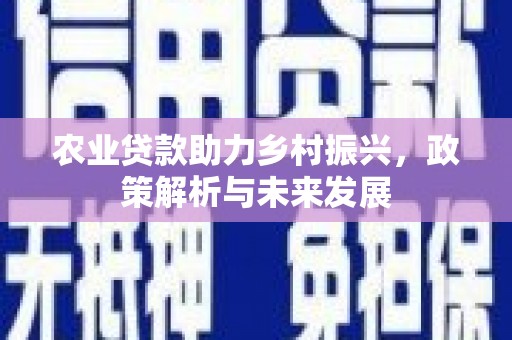涞水农业贷款助力乡村振兴，政策解析与未来发展