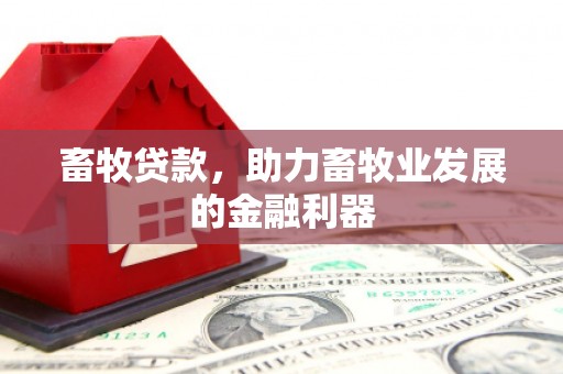 涞水畜牧贷款，助力畜牧业发展的金融利器