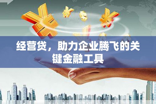 涞水经营贷，助力企业腾飞的关键金融工具