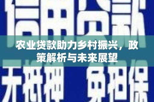 涞水农业贷款助力乡村振兴，政策解析与未来展望