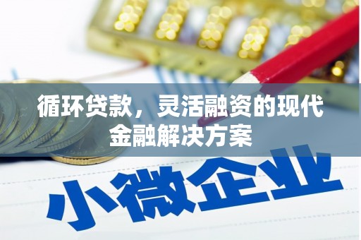 涞水循环贷款，灵活融资的现代金融解决方案