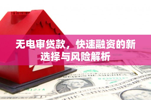 涞水无电审贷款，快速融资的新选择与风险解析