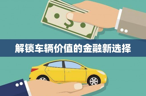 涞水解锁车辆价值的金融新选择