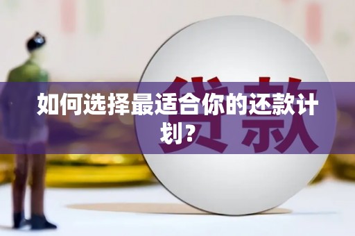 涞水如何选择最适合你的还款计划？