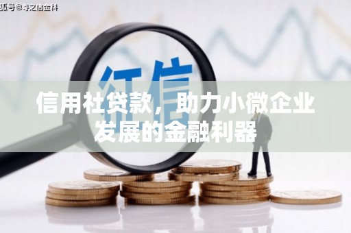 涞水信用社贷款，助力小微企业发展的金融利器