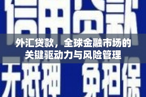 涞水外汇贷款，全球金融市场的关键驱动力与风险管理