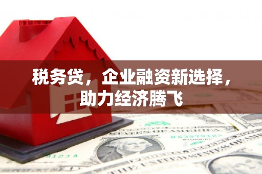 涞水税务贷，企业融资新选择，助力经济腾飞