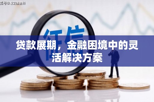 涞水贷款展期，金融困境中的灵活解决方案