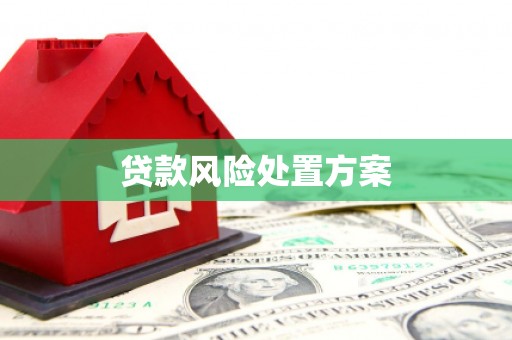 涞水贷款风险处置方案