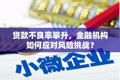 涞水贷款不良率攀升，金融机构如何应对风险挑战？