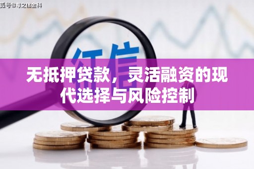 涞水无抵押贷款，灵活融资的现代选择与风险控制