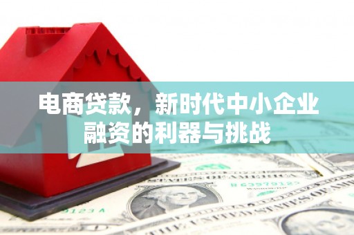 涞水电商贷款，新时代中小企业融资的利器与挑战