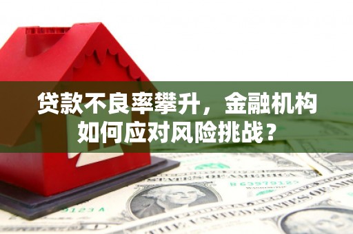 涞水贷款不良率攀升，金融机构如何应对风险挑战？