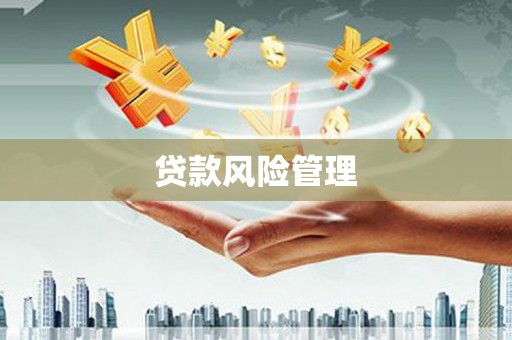 涞水贷款风险管理