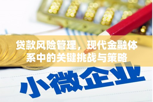 涞水贷款风险管理，现代金融体系中的关键挑战与策略