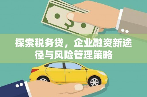 涞水探索税务贷，企业融资新途径与风险管理策略