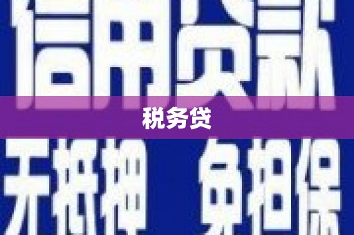 涞水税务贷