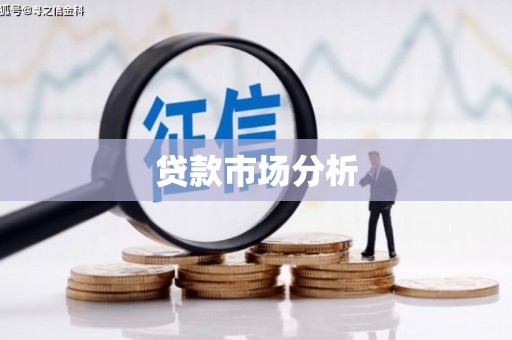 涞水贷款市场分析