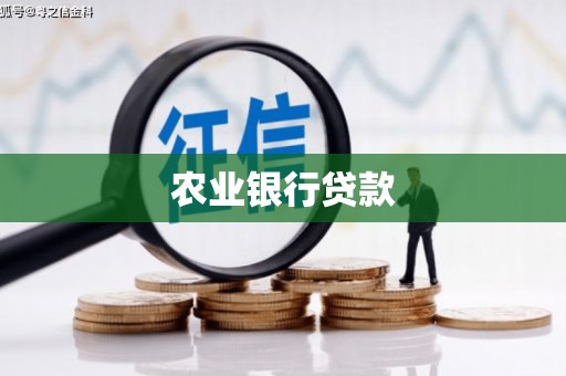 涞水农业银行贷款