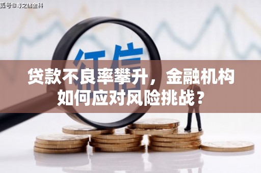 涞水贷款不良率攀升，金融机构如何应对风险挑战？