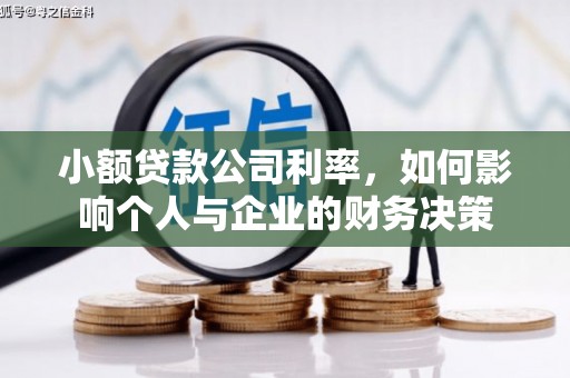 涞水小额贷款公司利率，如何影响个人与企业的财务决策