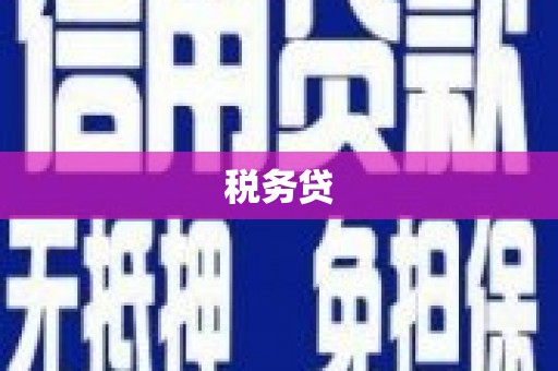 涞水税务贷
