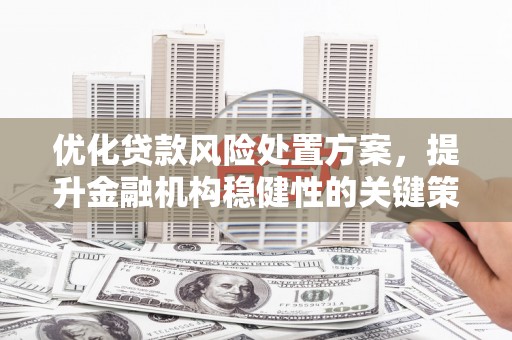 涞水优化贷款风险处置方案，提升金融机构稳健性的关键策略