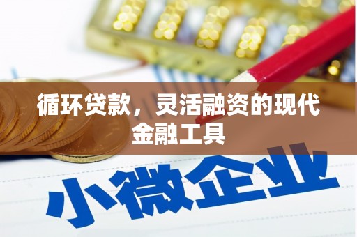 涞水循环贷款，灵活融资的现代金融工具