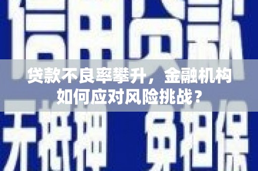 涞水贷款不良率攀升，金融机构如何应对风险挑战？