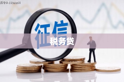 涞水税务贷