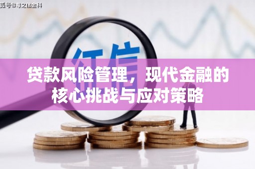 涞水贷款风险管理，现代金融的核心挑战与应对策略