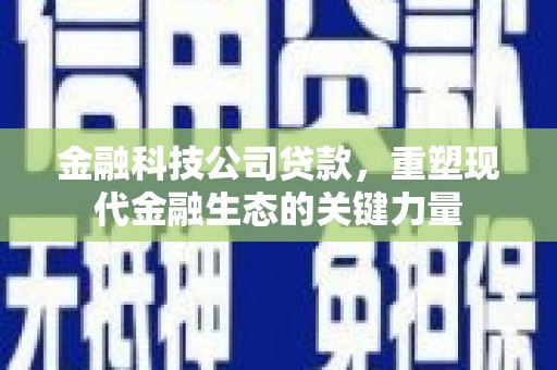 涞水金融科技公司贷款，重塑现代金融生态的关键力量