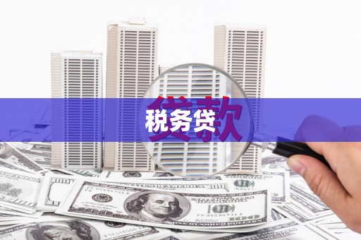 涞水税务贷