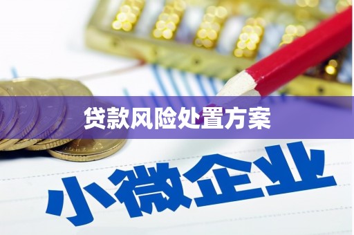 涞水贷款风险处置方案