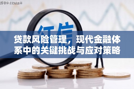 涞水贷款风险管理，现代金融体系中的关键挑战与应对策略
