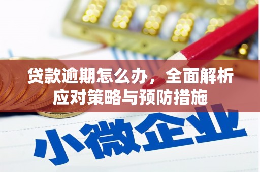 涞水贷款逾期怎么办，全面解析应对策略与预防措施