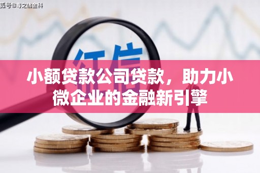 涞水小额贷款公司贷款，助力小微企业的金融新引擎
