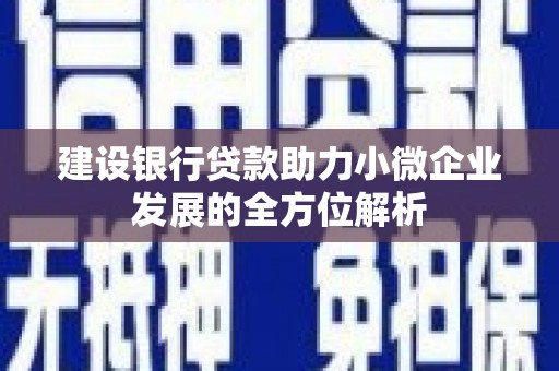 涞水建设银行贷款助力小微企业发展的全方位解析