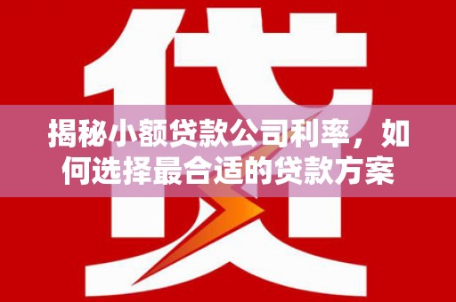 涞水揭秘小额贷款公司利率，如何选择最合适的贷款方案