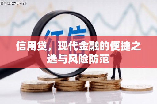 涞水信用贷，现代金融的便捷之选与风险防范