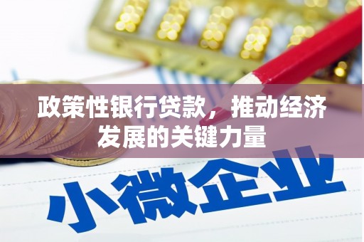 涞水政策性银行贷款，推动经济发展的关键力量