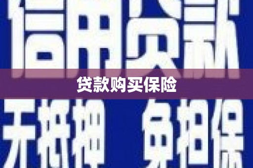 涞水贷款购买保险