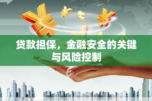 涞水贷款担保，金融安全的关键与风险控制