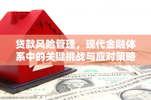 涞水贷款风险管理，现代金融体系中的关键挑战与应对策略